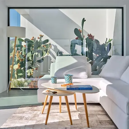 In Paros Nest Vila Kostos